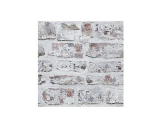 Whitewashed Wall White