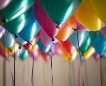 What! Store Party Category