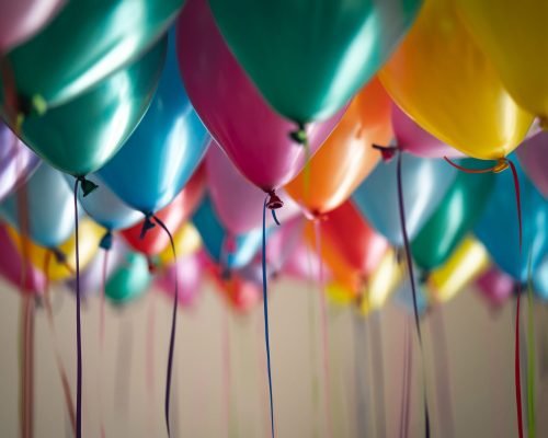 What! Store Party Category